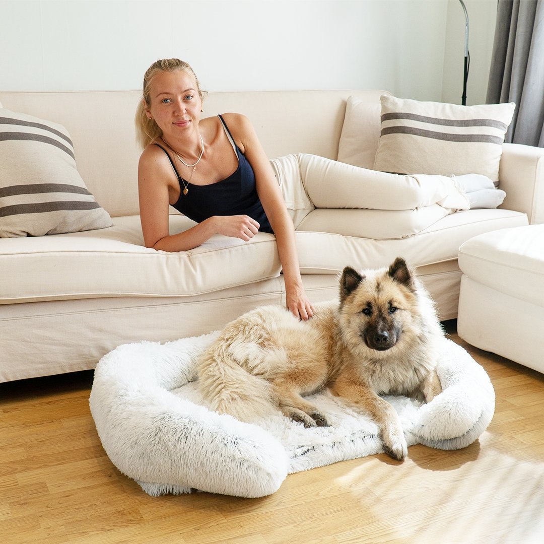 Baue eine glückliche und erfüllte Beziehung zu deinem Hund auf: Tipps und Tricks für eine erfolgreiche Hundepsychologie