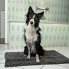 Laden Sie das Bild in den Galerie-Viewer, Hypet® - super absorbierende Hundematte